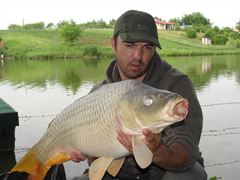 Moara Vlasiei 2 9 - 9 iun.